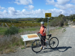 On the Clare Valley Riesling Trail